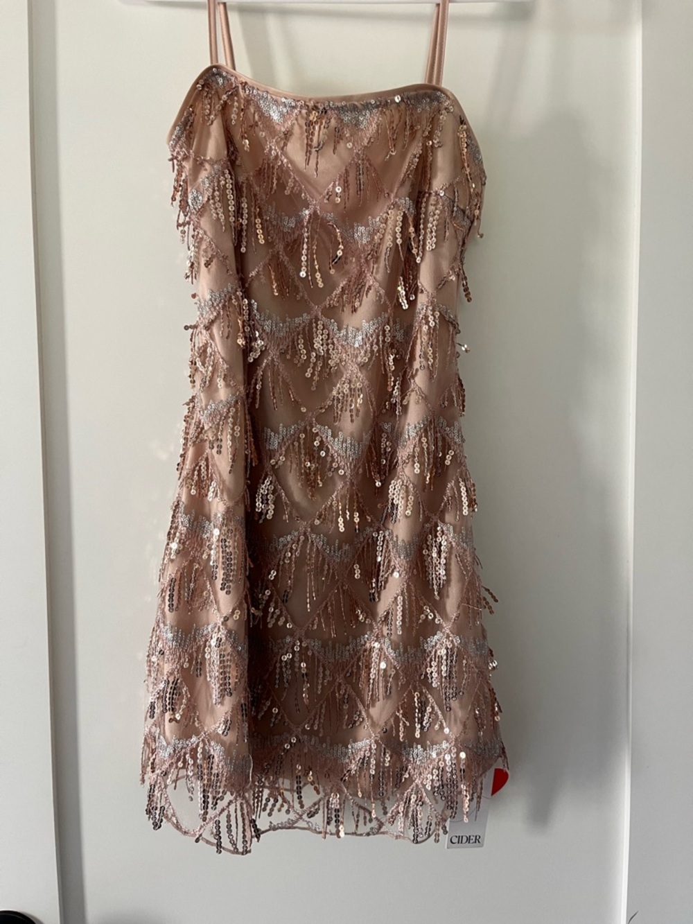 Cider Sequin Fringe Slip Dress in Blush Pink